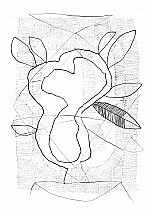 Growing plant.jpg